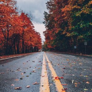 Studiekeuze voor het MBO